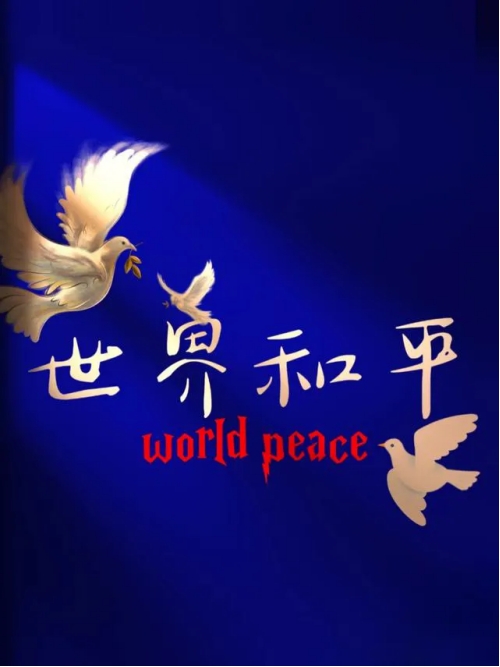 集团董事长陈伟其：构建韧劲系统——从印巴冲突说开